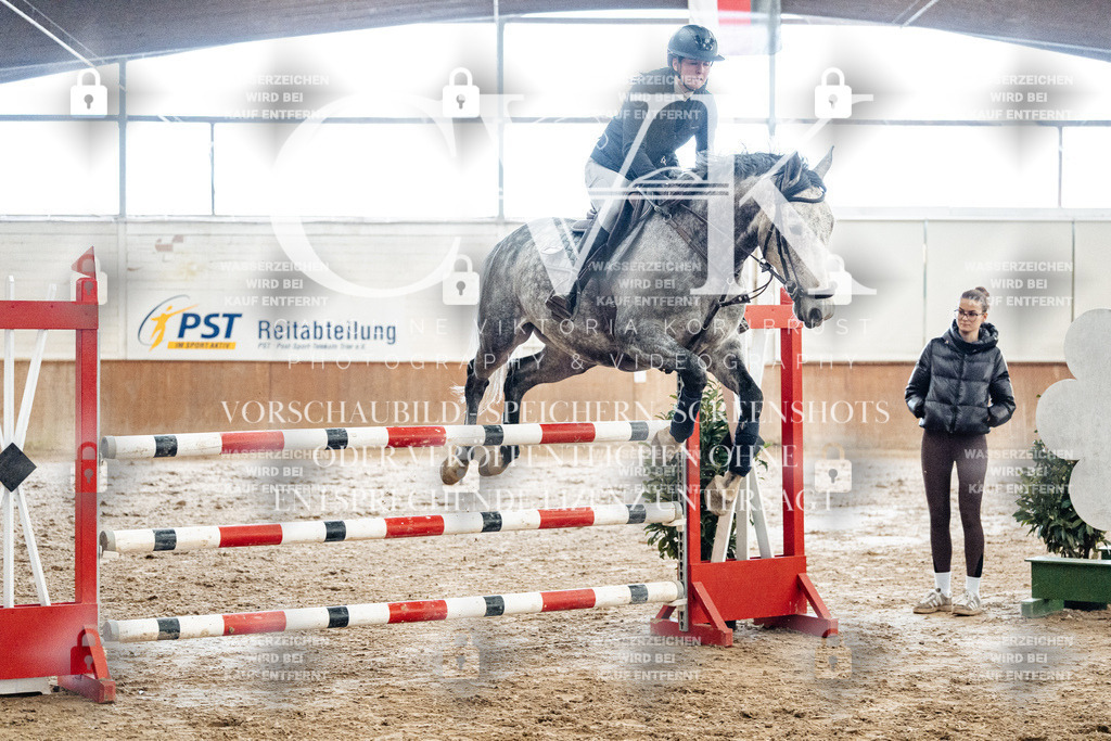 CK906336 | Turnierfotografie Pferdefotografie Trier Rheinland-Pfalz Pferdesport Reitsport Tierfotografie Sportfotografie Pferdevideo Pferdevideografie Equestrianvideography equestrianphotography  - Realisiert mit Pictrs.com