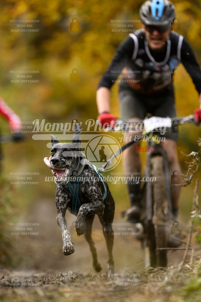 MompixPhotography_ICF_WC_2024_SA_Bike_-169 | PayLife