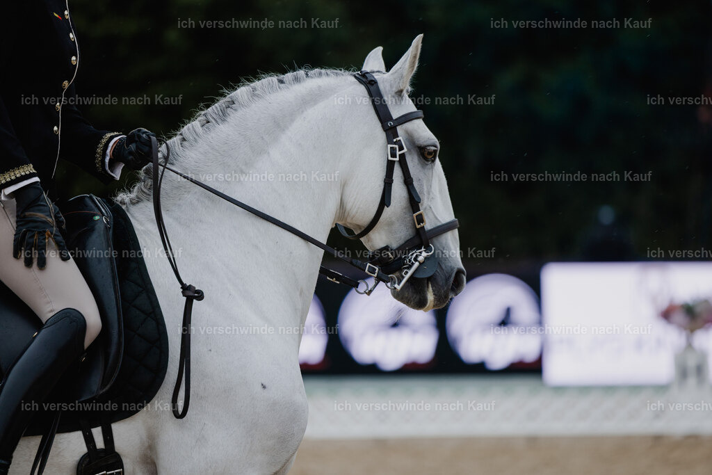 Virginie12FHC2025-25183 | working equitationturnier fotograf videograf stoibphotography marixx film working equitation deutschland reitsport turnierfotografie eventfotografie equestrian events