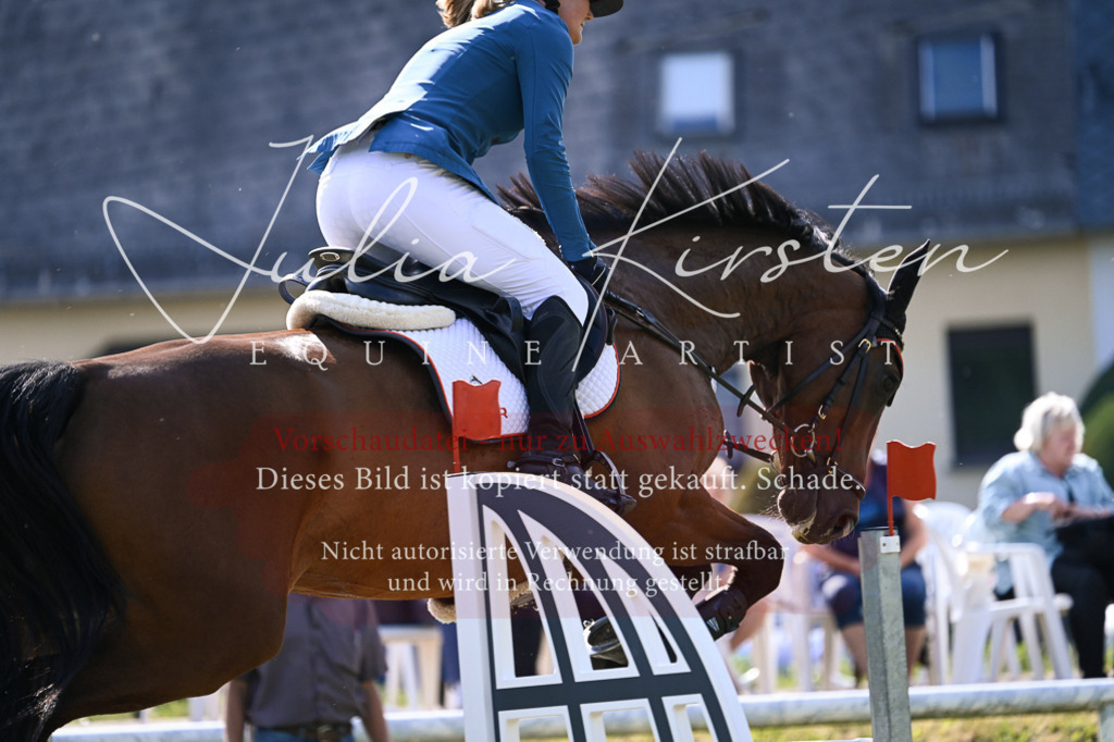 DSC_1158 | Pferde- und Turnierfotografie in Westsachsen. Pferdeportraits, Auftragszeichnungen und intuitive Kunst.