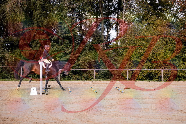 2026_10_03_Siefer-Hof_143955_Z81_10173094 | Professionelle Reitsport-, Turnier- und Eventfotografie von Robert Broda. Galerien mit ausgewählten und bearbeiteten Bildern direkt online ansehen und bestellen.