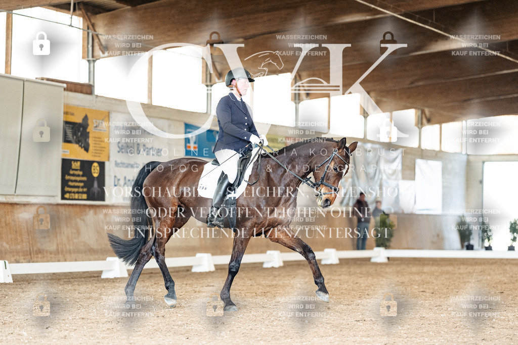 CK901373 | Turnierfotografie Pferdefotografie Trier Rheinland-Pfalz Pferdesport Reitsport Tierfotografie Sportfotografie Pferdevideo Pferdevideografie Equestrianvideography equestrianphotography  - Realisiert mit Pictrs.com