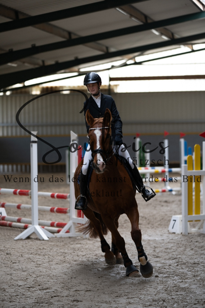 A7V07875 | Pferdefotograf