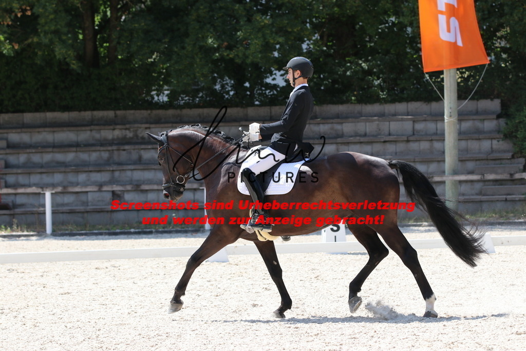 IMG_5053 | lmwpictures - Realisiert mit Pictrs.com