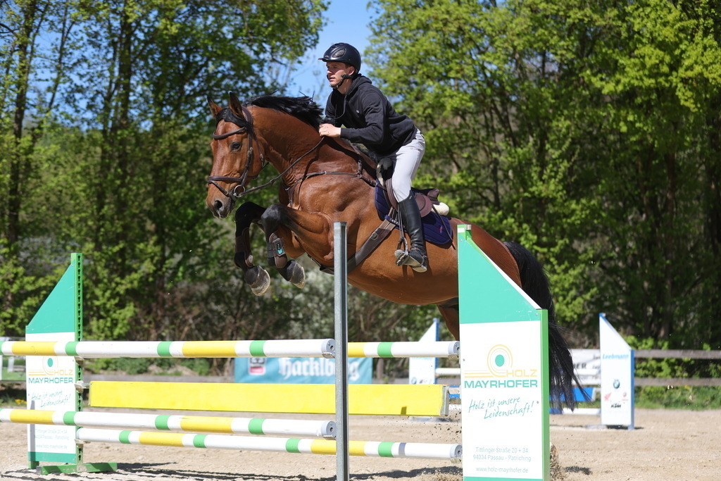 0P6A8144 | Willkommen bei Brunnmayr - Design & Fotografie – Ihrem Spezialisten für Reitturniere und Pferdeveranstaltungen in Oberösterreich, Salzburg und Bayern! Seit über 17 Jahren sind wir leidenschaftlich dabei.