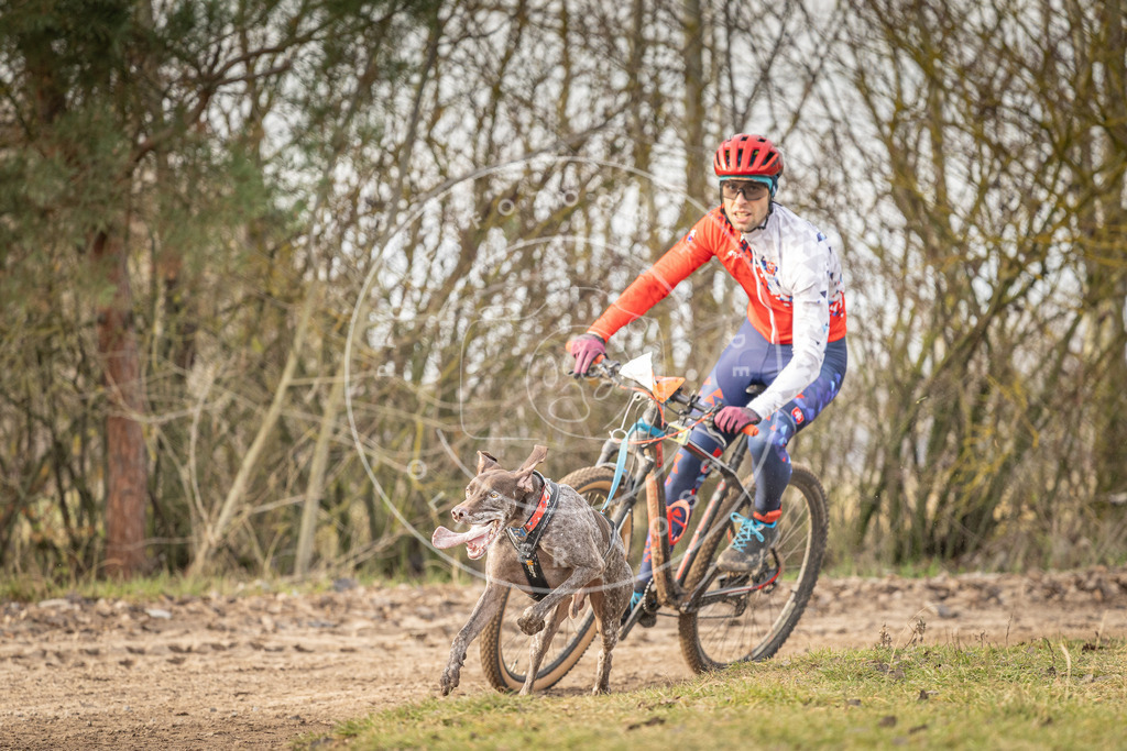 Pfotenfotografie_DV3A7147 | Hundefotografie, Tierfotograf, Pfotenfotografie, Fotoshooting Hund, Hunde Portrait, Hundesport, Hundeportraits, Heideshooting, Hunde, Sportfotograf, Hundefotograf, Turnierhundsport, THS,  - Realisiert mit Pictrs.com