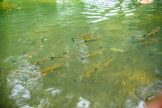 _DSC2495 | Shop für Prints Landschaftsfotografie Sächsische Schweiz Naturfotografie in Thüringen Fotos vom Findlingspark Nochten Kloster Sankt Marienstern Bilder Festung Königstein PanoramaRhododendronpark Kromlau FotogalerSchleswig-Holstein Küstenlandschaften