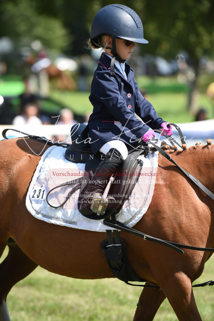 DSC_9833 | Pferde- und Turnierfotografie in Westsachsen. Pferdeportraits, Auftragszeichnungen und intuitive Kunst.