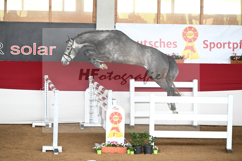 Kat-Nr. 45 Ascan v. Asca_Hess Mueller_9240876 | hf-fotografie - Realizzato con Pictrs.com