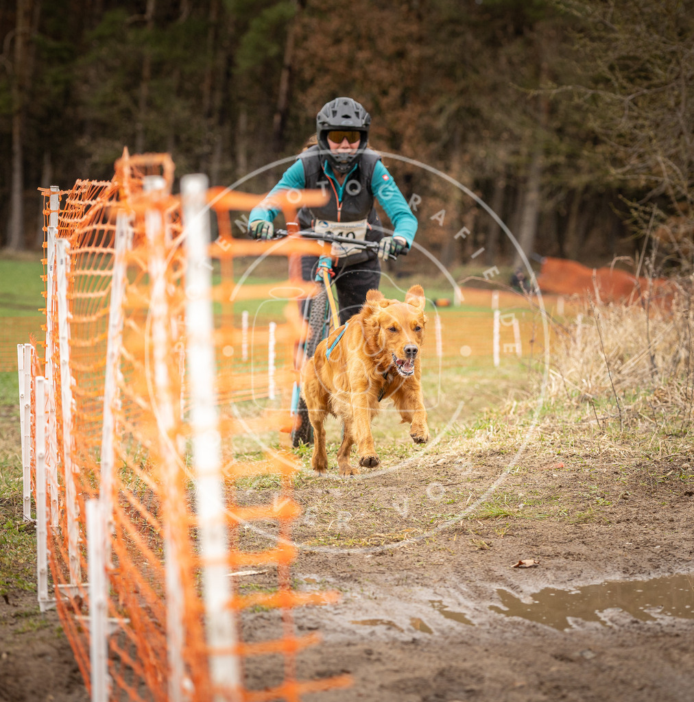 DV3A1580 | Hundefotografie, Tierfotograf, Pfotenfotografie, Fotoshooting Hund, Hunde Portrait, Hundesport, Hundeportraits, Heideshooting, Hunde, Sportfotograf, Hundefotograf, Turnierhundsport, THS,  - Realisiert mit Pictrs.com