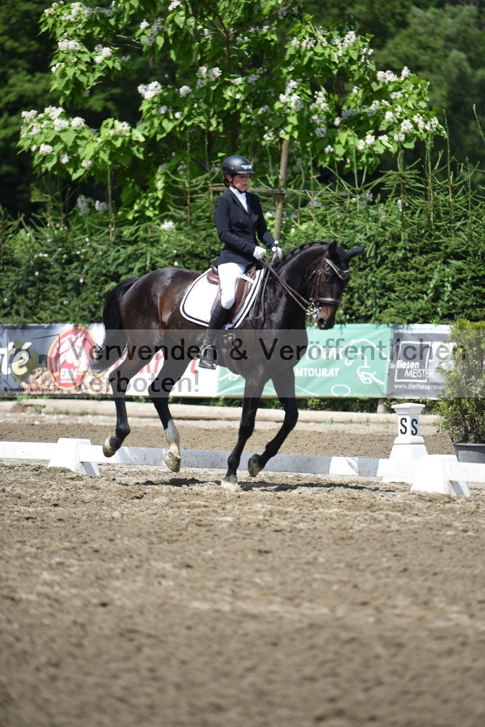 DSC_1163 | equestrian-live-com