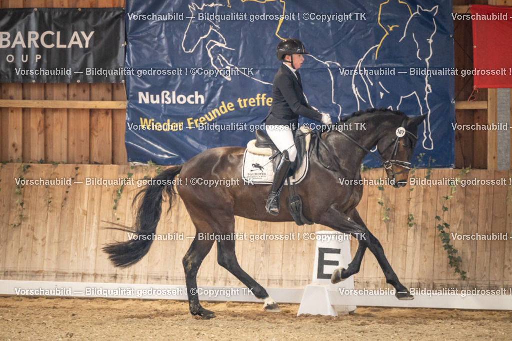 _D5A8442 | Emotionale Pferde- & People-Fotografie rund um Heidelberg, Leimen & Umgebung. Natürliche Fotos von Pferd, Mensch & Familie. Jetzt Termin sichern!