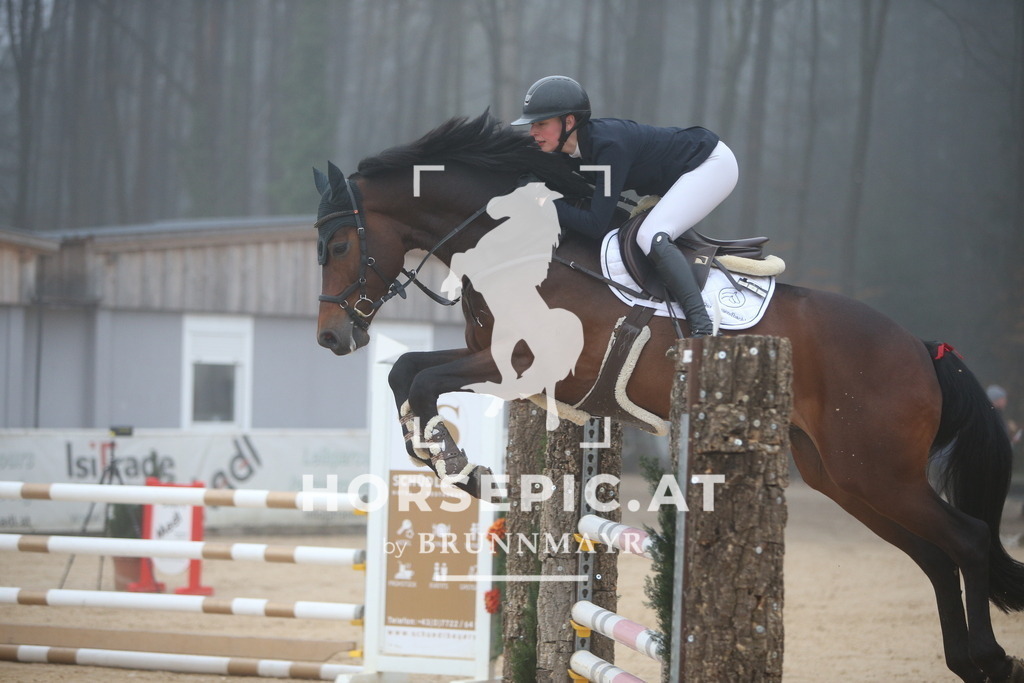 PP012426 | Willkommen bei Brunnmayr - Design & Fotografie – Ihrem Spezialisten für Reitturniere und Pferdeveranstaltungen in Oberösterreich, Salzburg und Bayern! Seit über 17 Jahren sind wir leidenschaftlich dabei.