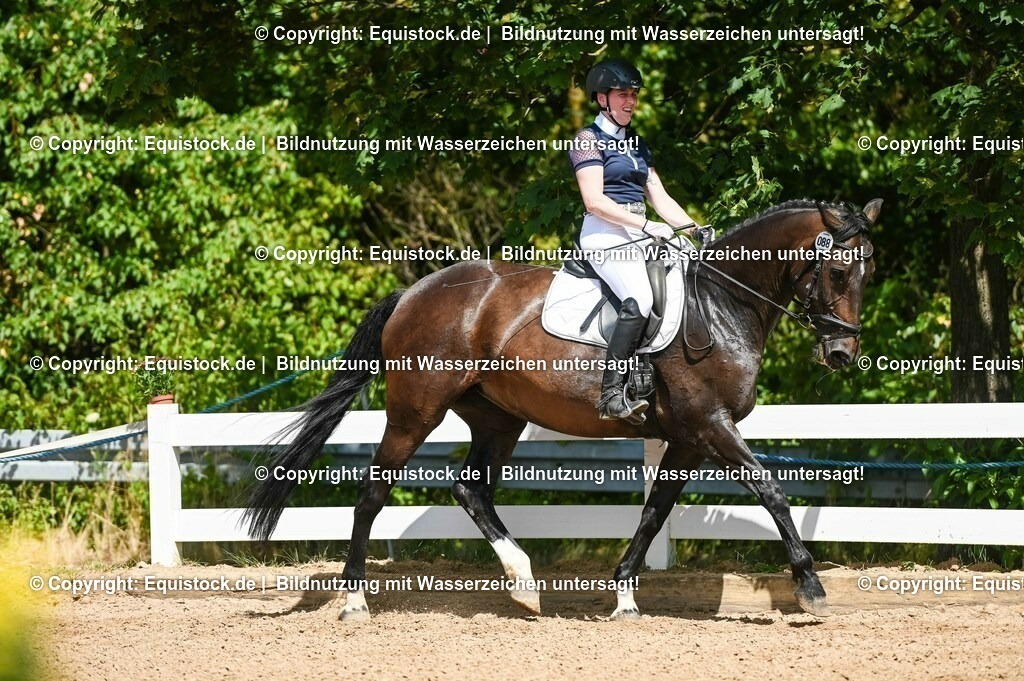 20230715_02_Dressurreiterprüfung Kl.L_0117 | equistock