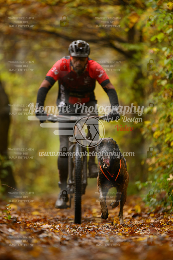 MompixPhotography_CD7S_DI_Bike-18 | mompixphotography