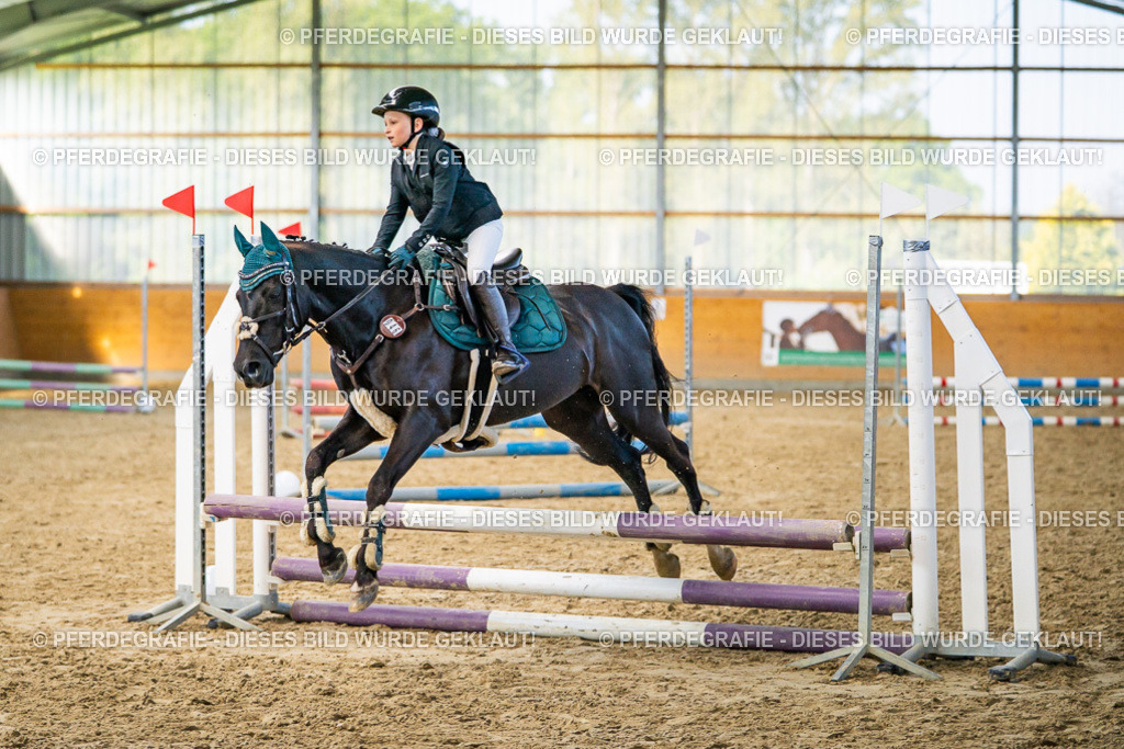 DSC00993 | Pferdegrafie