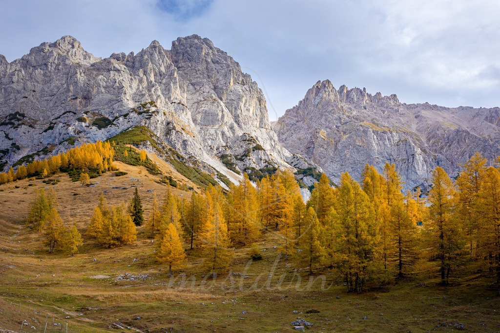Goldener Herbst in der Dachstein Region | Bei Veröffentlichung des Bildes ist eine Namensnennung wie folgt erforderlich: Foto: Mostdirn Irmgard Wieser - Realisiert mit Pictrs.com