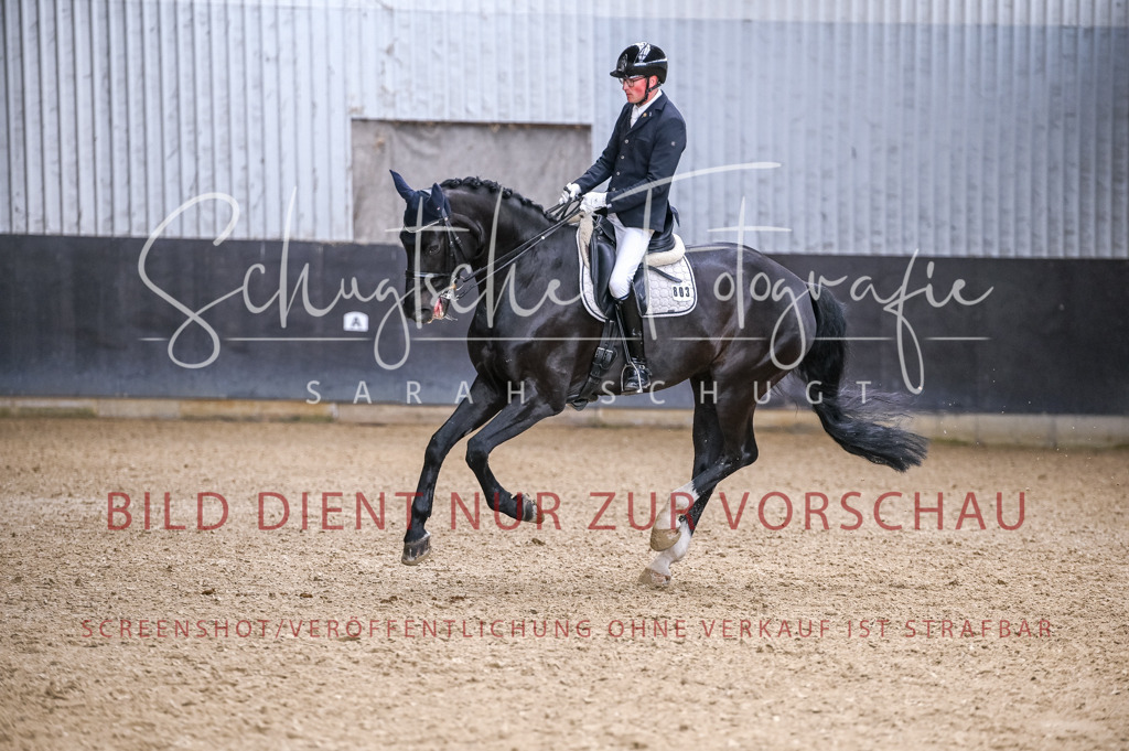 Schugtsche-Aluta25-57.Dressurprf.M1Kand-297 | Schugtsche Fotografie - Realized with Pictrs.com