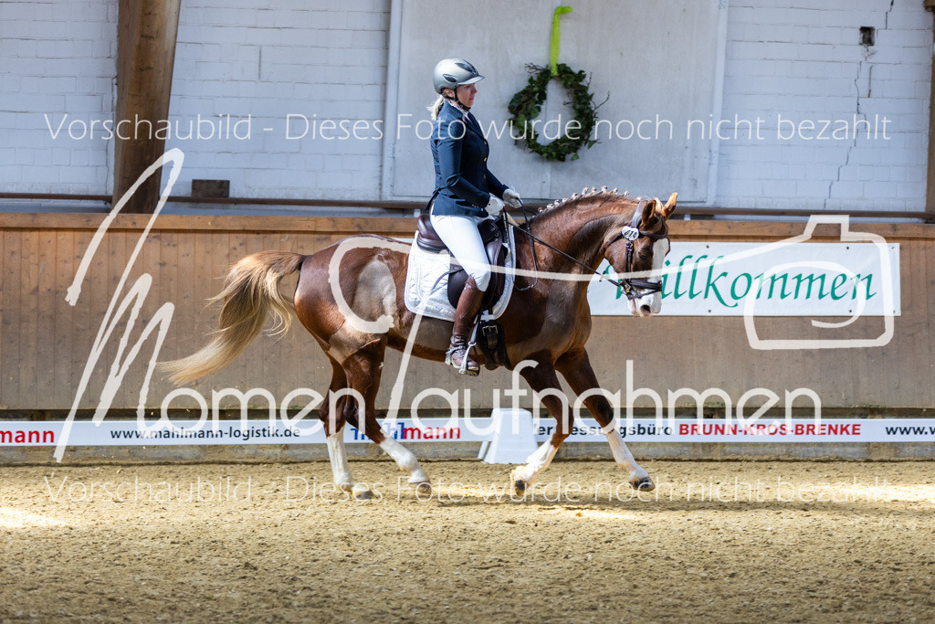 Sth-LPO25-DrR-L-167 | MomenTaufnahmen Pferdesportfotos