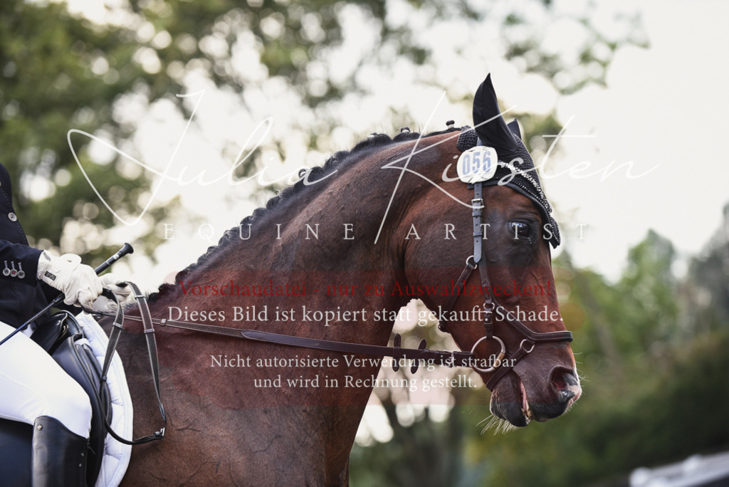 DSC_4037 | Pferde- und Turnierfotografie in Westsachsen. Pferdeportraits, Auftragszeichnungen und intuitive Kunst.