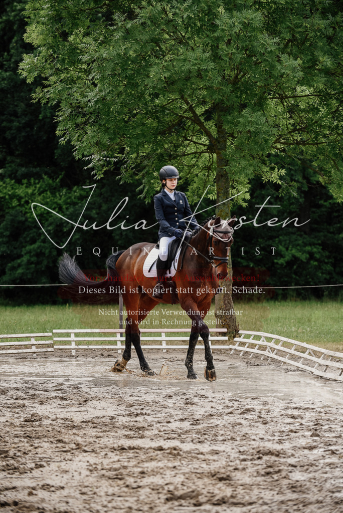 DSC_9564 | Pferde- und Turnierfotografie in Westsachsen. Pferdeportraits, Auftragszeichnungen und intuitive Kunst.