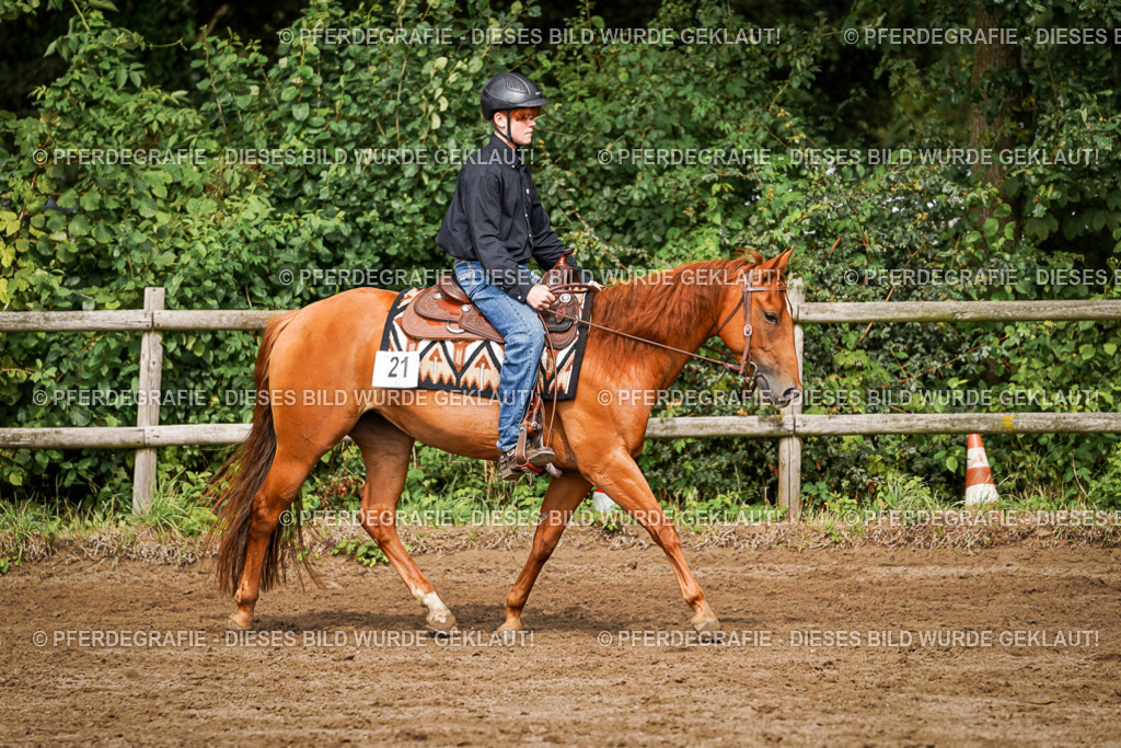 DSC09166 | Pferdegrafie