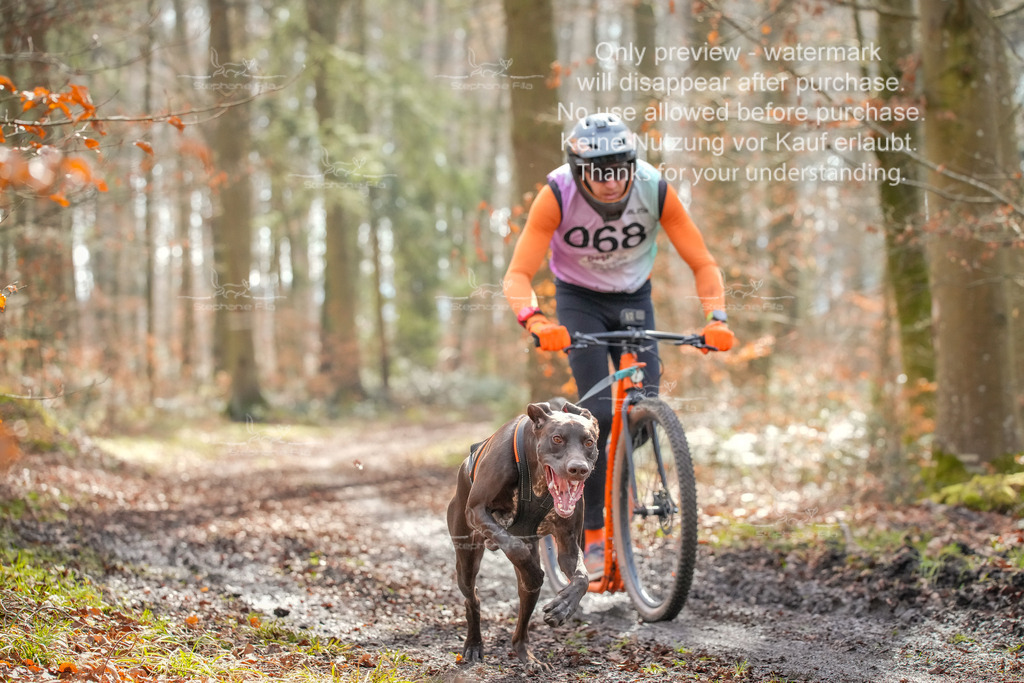 So_Scooter1-46 | stephaniefillaphotographie - Realisiert mit Pictrs.com