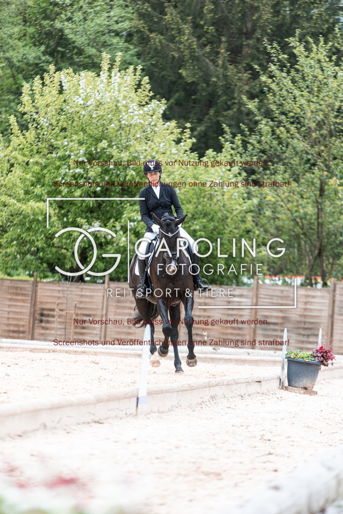 DSC_6884 | Turnierfotografin Carolin Gieschke,Reitsport Turnierfotografie Carolin G Fotografie | Turnierfotos aus Kirchheim/Teck, Esslingen, Stuttgart und dem Bodenseekreis