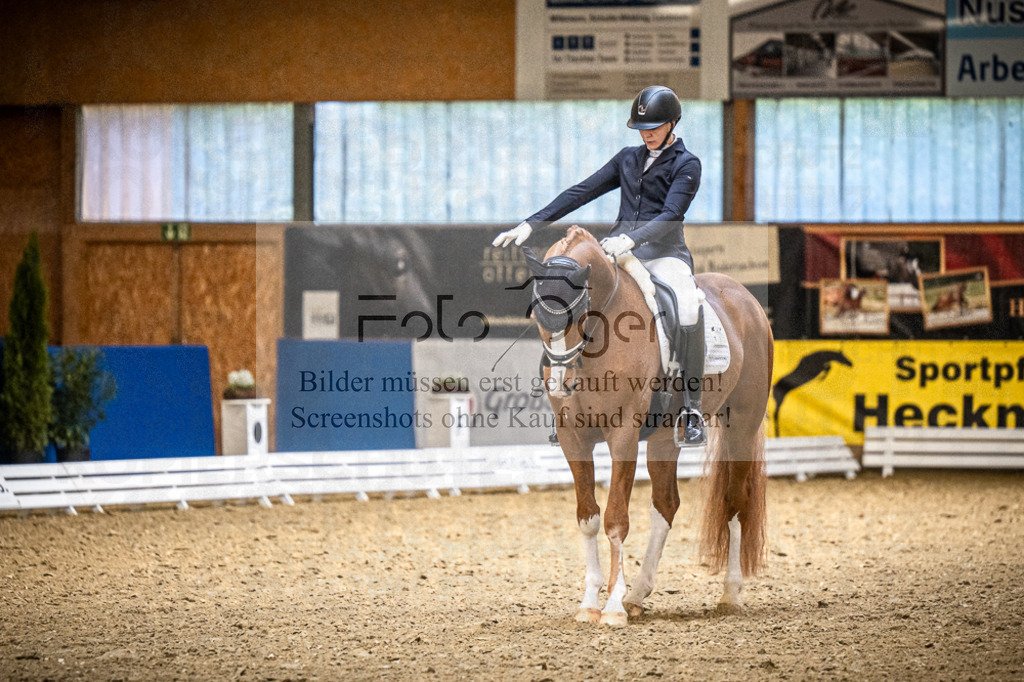 DOS_0486 | Entdecke hochwertige Reitturnierfotos von Foto Oger. Professionell, emotional und authentisch – jetzt Lieblingsmomente im Shop bestellen.Deutschlandweite Turnierfotografie. - Realisiert mit Pictrs.com