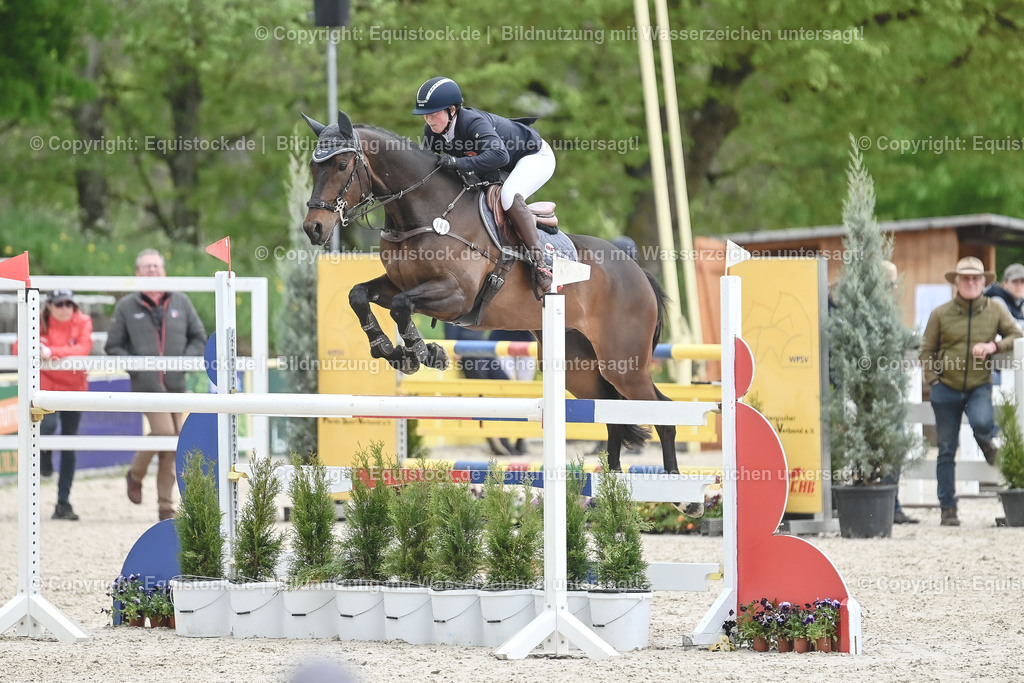 20230514_CCI4_Springen_0256 | equistock