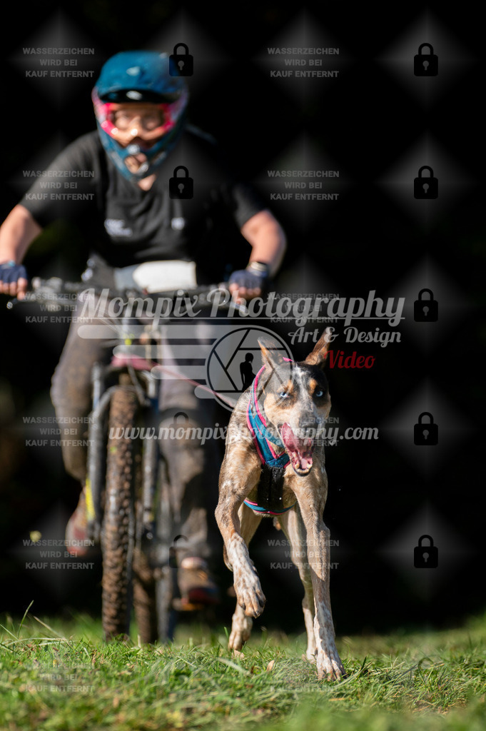 TSB_2023_E7_Bike-34 | PayLife