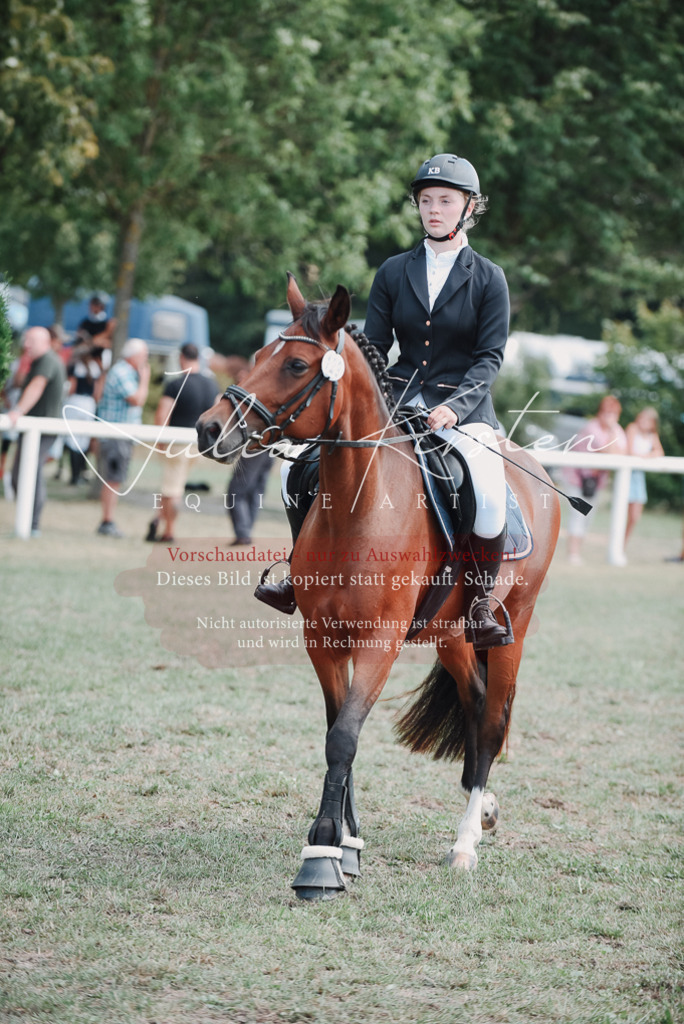 DSC_5815 | Pferde- und Turnierfotografie in Westsachsen. Pferdeportraits, Auftragszeichnungen und intuitive Kunst.