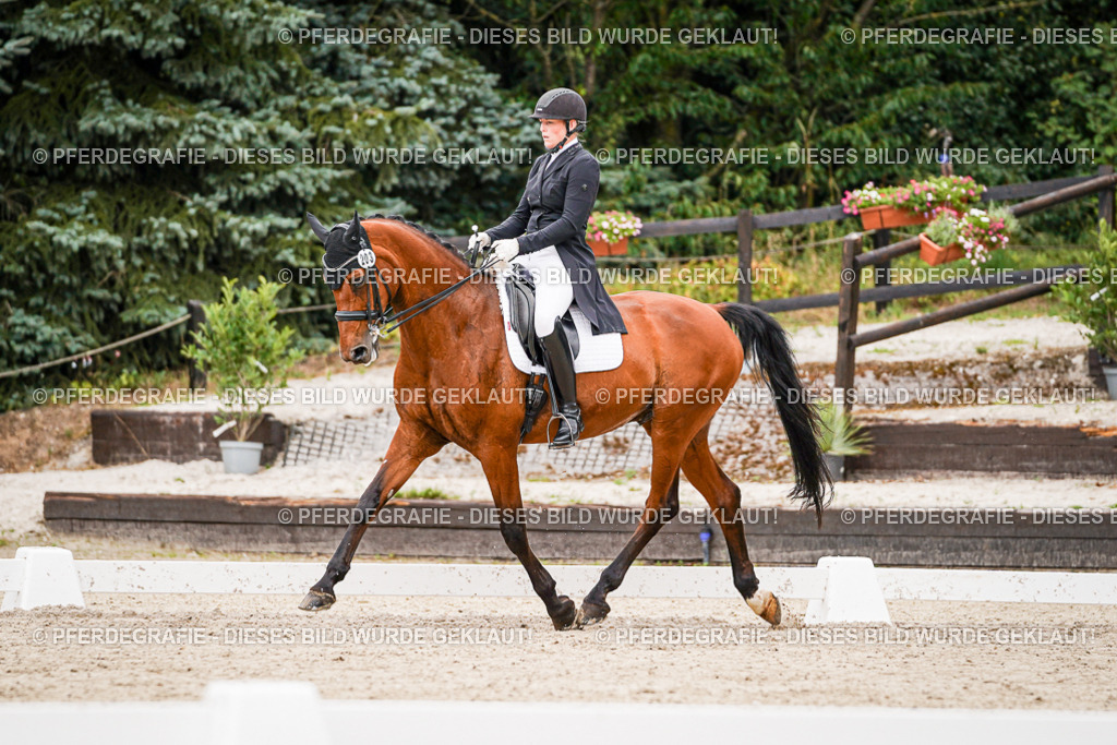 DSC07495 | Pferdegrafie