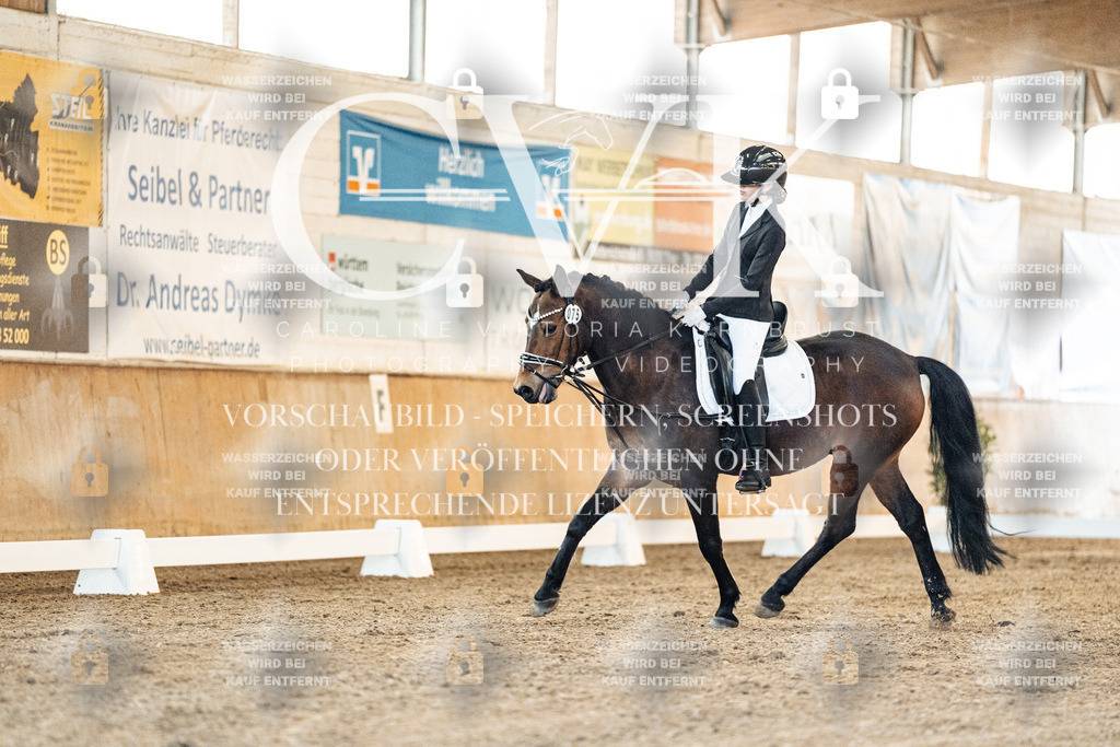 CK906639 | Turnierfotografie Pferdefotografie Trier Rheinland-Pfalz Pferdesport Reitsport Tierfotografie Sportfotografie Pferdevideo Pferdevideografie Equestrianvideography equestrianphotography  - Realisiert mit Pictrs.com