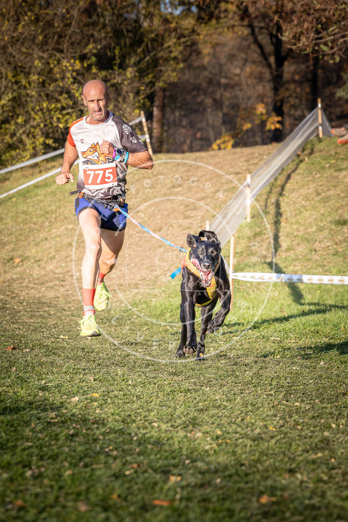 CaniXpix_0L8A0127 | Hundefotografie, Tierfotograf, Pfotenfotografie, Fotoshooting Hund, Hunde Portrait, Hundesport, Hundeportraits, Heideshooting, Hunde, Sportfotograf, Hundefotograf, Turnierhundsport, THS,  - Realisiert mit Pictrs.com