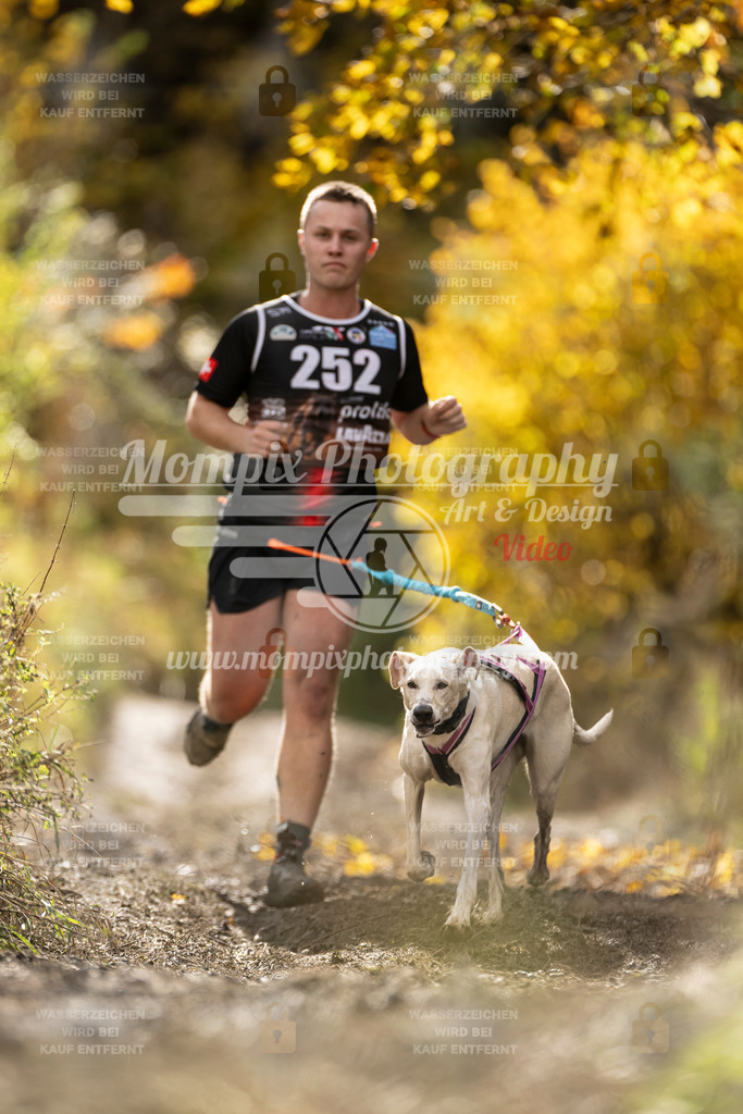 MompixPhotography_ICF_WC_2024_SA_Run_-66 | PayLife