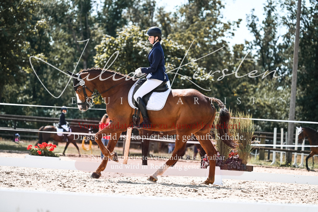 DSC_5550 | Pferde- und Turnierfotografie in Westsachsen. Pferdeportraits, Auftragszeichnungen und intuitive Kunst.
