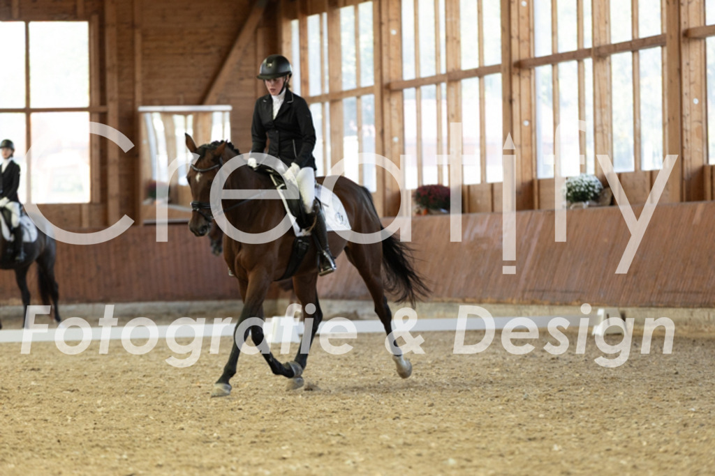 IMG_5034 | Creatify Fotografie