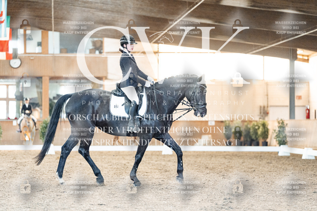 CK906944 | Turnierfotografie Pferdefotografie Trier Rheinland-Pfalz Pferdesport Reitsport Tierfotografie Sportfotografie Pferdevideo Pferdevideografie Equestrianvideography equestrianphotography  - Realisiert mit Pictrs.com