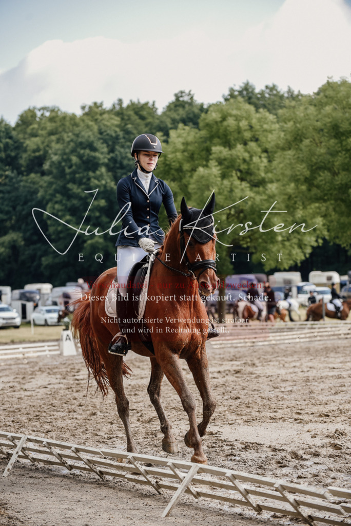 DSC_8962 | Pferde- und Turnierfotografie in Westsachsen. Pferdeportraits, Auftragszeichnungen und intuitive Kunst.