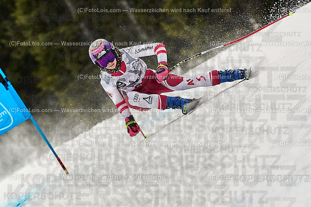 _WWO4617_MASTERS-WM_Reiteralm_CD-SG_Speringer Janine_SPERINGER Janine | FISWORLD CHAMPIONSHIPSMASTERS ALPINE SKIING, 23. – 28. MÄRZ 2026 - REITERALM | STMK | AUT.   Veranstaltet vom Masters-Referat des Deutschen Skiverbandes (DSV). Durchführende Organisation: WSV Pichl-Reiteralm, unterstütutzt von den Bergbahnen REITERALM bei Schladming und SKI AUSTRIA.                            Disziplinen:  Super-G, GiantSlalom, Slalom.                                                 Kategorien:  A (Herrn 30-59 Jahre), B (Herrn ab 60 Jahre), C (Damen 30-59 Jahre), D (Damen ab 60 Jahre).                Rennstrecken:   Gasselhöhe und Muldenliftpiste auf der Reiteralm.