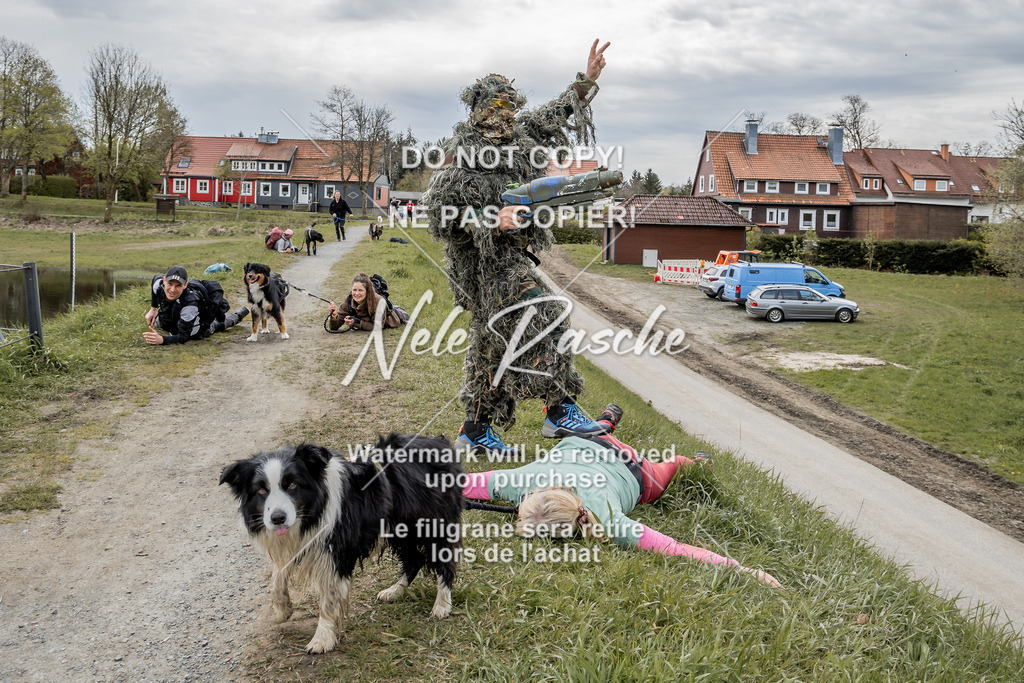NR__2565 | nelerasche