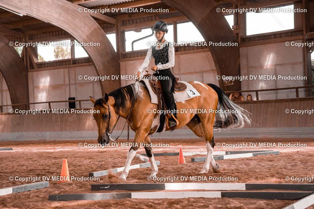 NE200238 | dv-media-shop - Realisiert mit Pictrs.com