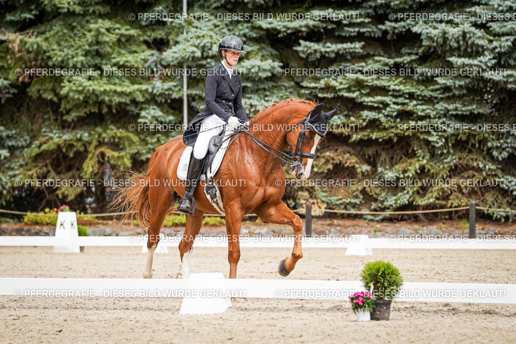 DSC05650 | Pferdegrafie