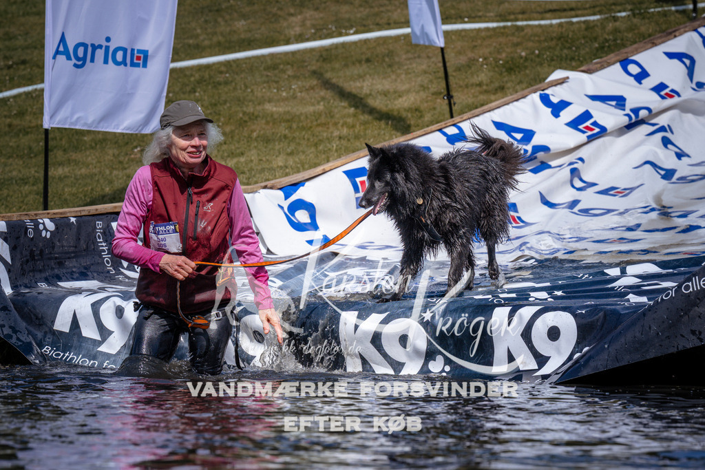 _ZZ930550936 | kk-dogfotos
