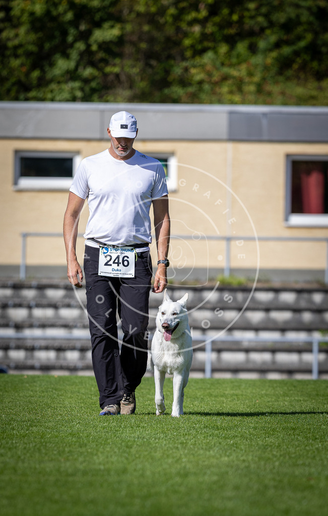 Pfotenfotografie_DV3A4943 | Hundefotografie, Tierfotograf, Pfotenfotografie, Fotoshooting Hund, Hunde Portrait, Hundesport, Hundeportraits, Heideshooting, Hunde, Sportfotograf, Hundefotograf, Turnierhundsport, THS,  - Realisiert mit Pictrs.com