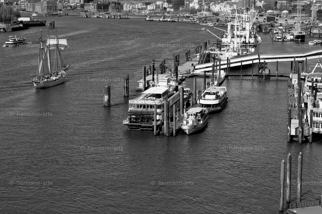 Hamurg_Arts-010 | Photo Foto Kunst Art schwarzweiss Bilder Rheine Münster Berlin Blumen 