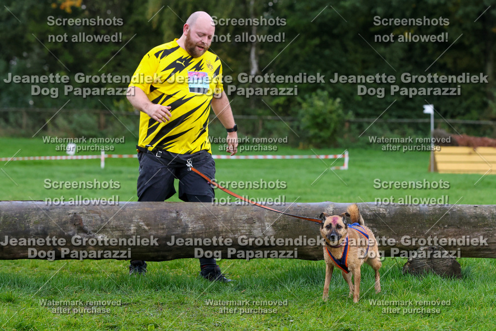 Dog Paparazzi -  SD1026-2019 | Dog Paparazzi Jeanette Grottendiek Fotografie & Videografie - Realisiert mit Pictrs.com