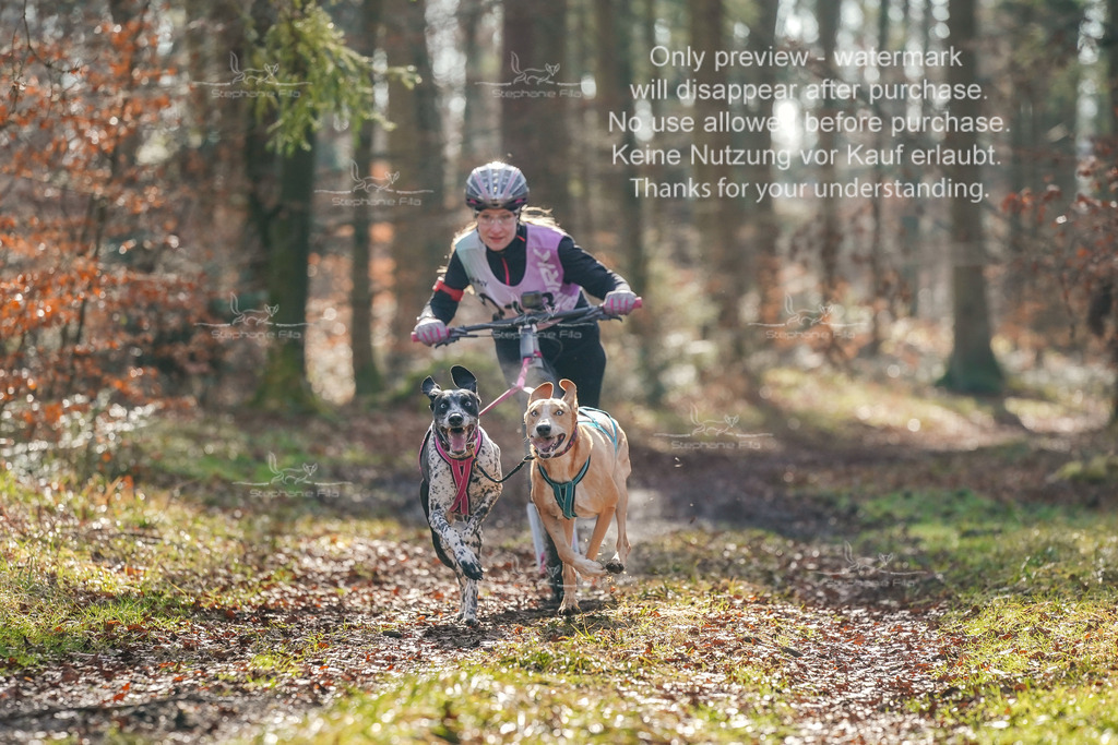 So_Scooter_2-16 | stephaniefillaphotographie - Realisiert mit Pictrs.com