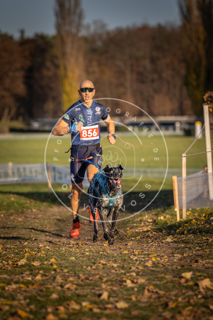 CaniXpix_DV3A3962 | Hundefotografie, Tierfotograf, Pfotenfotografie, Fotoshooting Hund, Hunde Portrait, Hundesport, Hundeportraits, Heideshooting, Hunde, Sportfotograf, Hundefotograf, Turnierhundsport, THS,  - Realisiert mit Pictrs.com